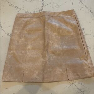 Chic Tan Mini Skirt